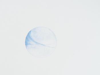 Revealed Landscapes, riso