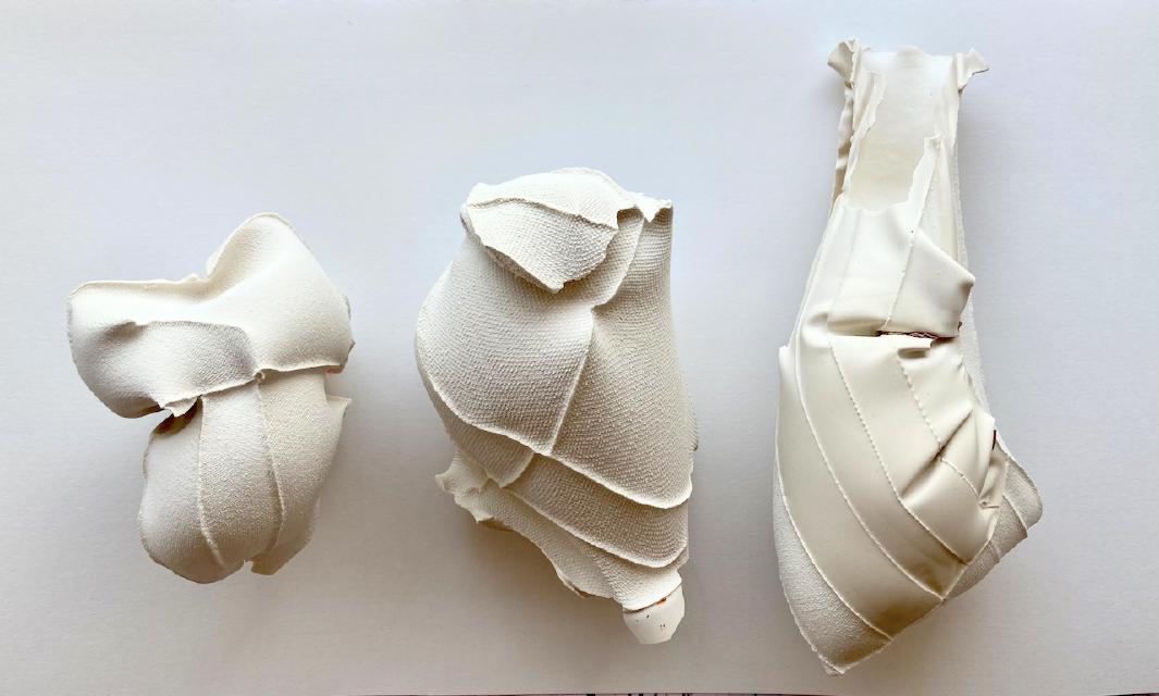 The Mollusk — 1 / 5