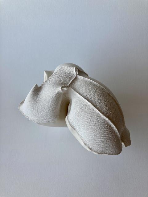 The Mollusk — 2 / 5
