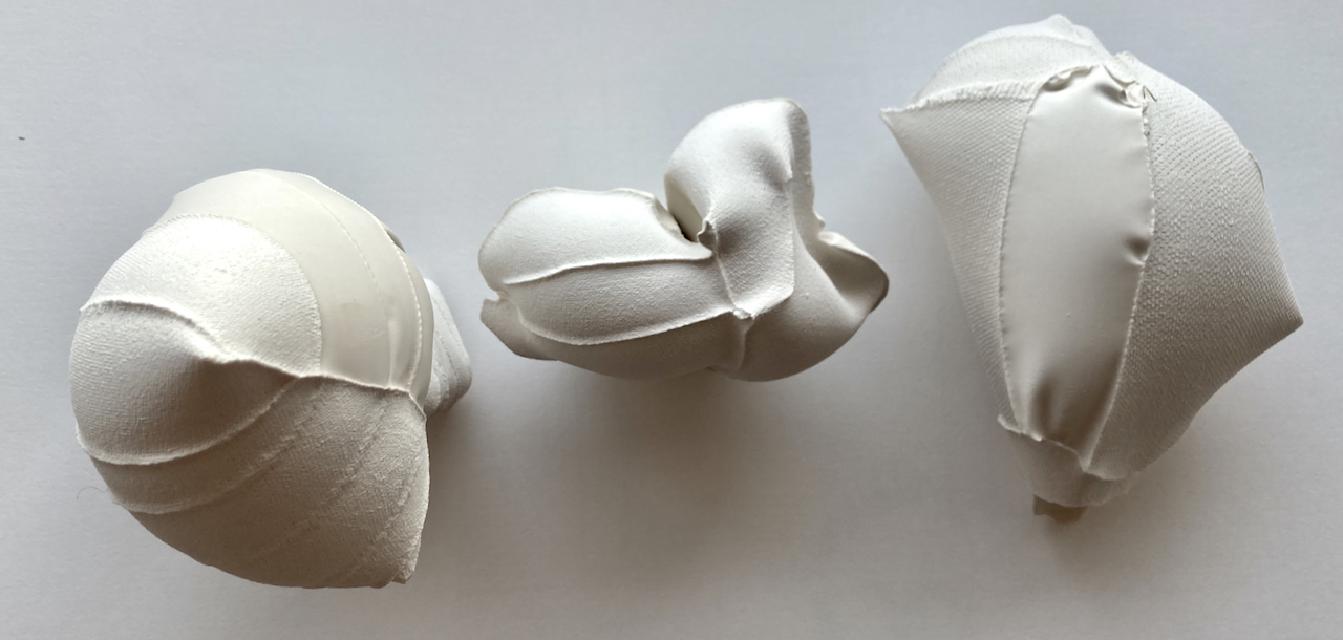 The Mollusk — 5 / 5
