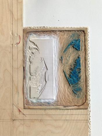 36 views - Donax vittatus