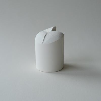 RL-01/03-1